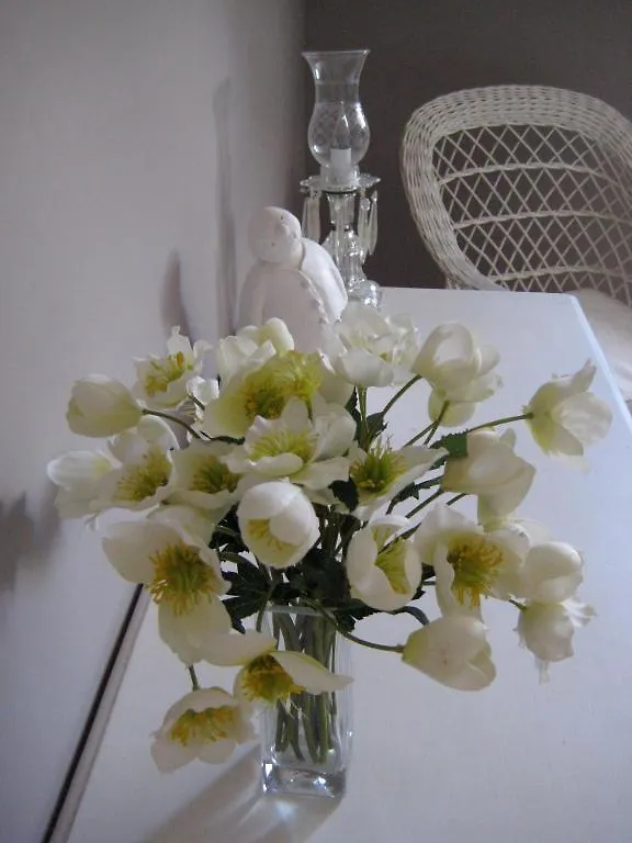 *** Bed & Breakfast B&B Taptoe II Brussels Belgium
